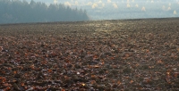 Acker im Herbst
