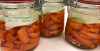 Fermentierkurs