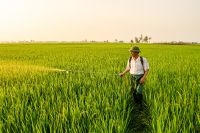 Landwirtschaft im Jahreskreis